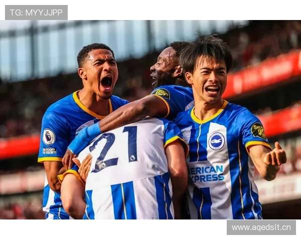 布莱顿本赛季表现稳健，竞争力持续提升